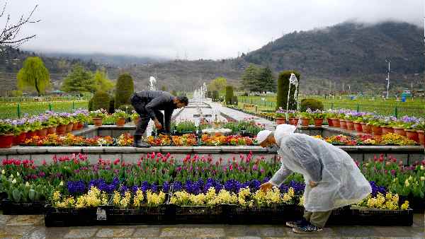 दूसरे दिन: श्रीनगर-पहलगाम