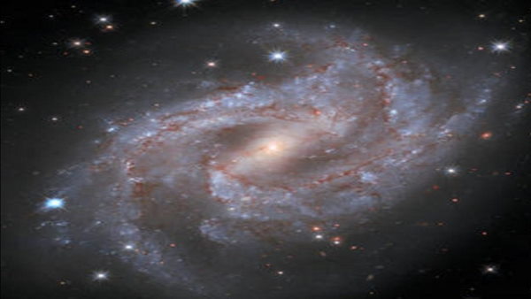 पिछले साल भी ऐसा ही मामला सामने आया था