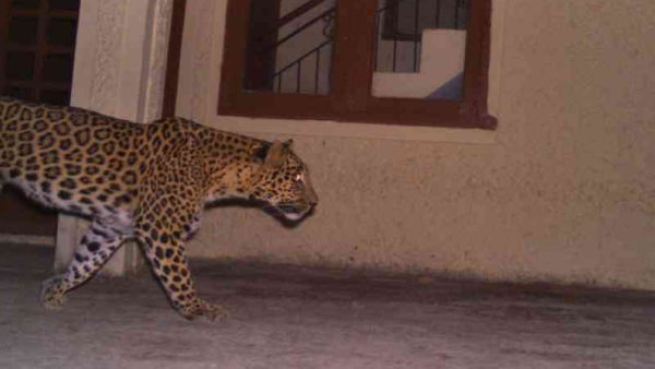 खौफनाक था वो मंजर