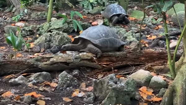 क्या है इस बदलाव की वजह?