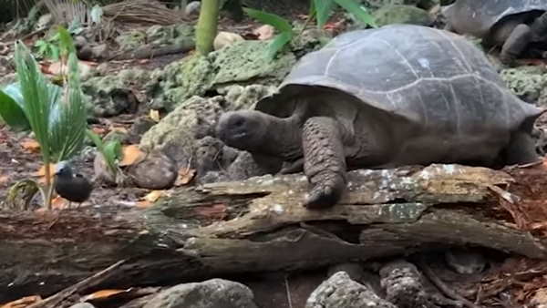 'प्रकृति के लिए ये संकेत अच्छा नहीं '