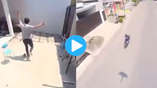 मोबाइल छीन भागे तोते ने बना डाला शानदार VIDEO