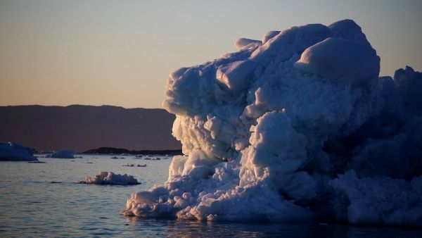 पेंगुइन जलवायु संकट से बुरी तरह प्रभावित हैं