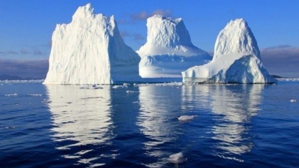  2016 में समुद्री बर्फ कम होने के कारण प्रजनन हुआ था प्रभावित 