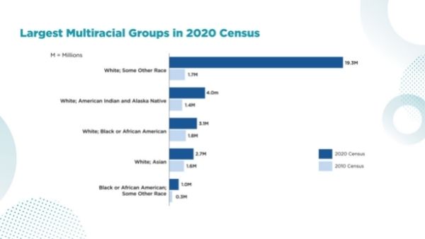 गोरों की आबादी में गिरावट गोरों की आबादी में गिरावट