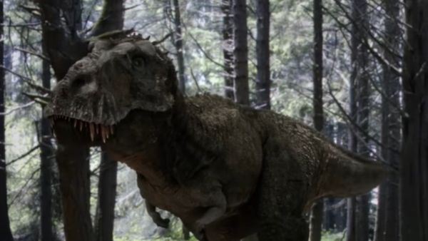 डायनासोर के जीवन पर होगा खुलासा ? डायनासोर के जीवन पर होगा खुलासा ?