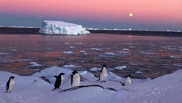 पूरी तरह बदला अंटार्कटिका