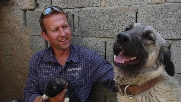 कुत्ते-बिल्लियों के साथ निकाला