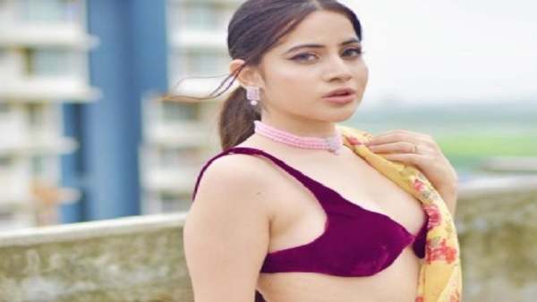 कई सीरियल में किया काम 