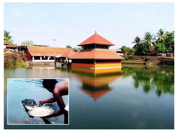 6. यहां रहते हैं शाकाहारी मगरमच्छ 6. यहां रहते हैं शाकाहारी मगरमच्छ