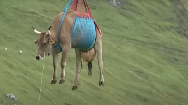 कार का पहुंचना मुश्किल