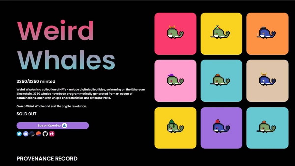 बचपन से पिता दे रहे हैं कोडिंग की ट्रेनिंग