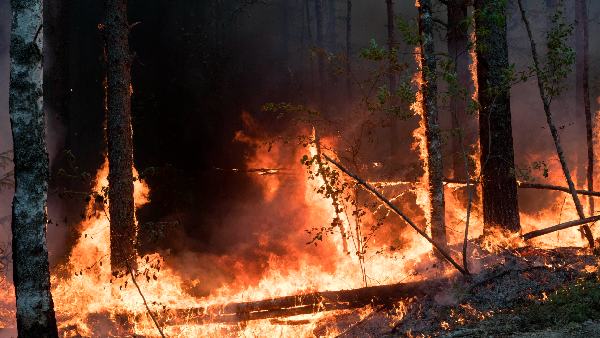 विशेषज्ञों ने कहा जी20 देशों को गियर बदलने की जरूरत