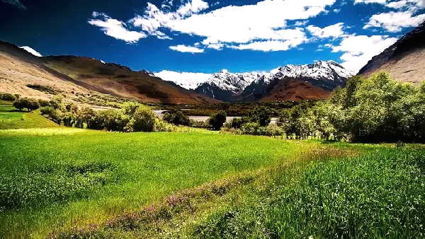 6. पदुम, कारगिल: