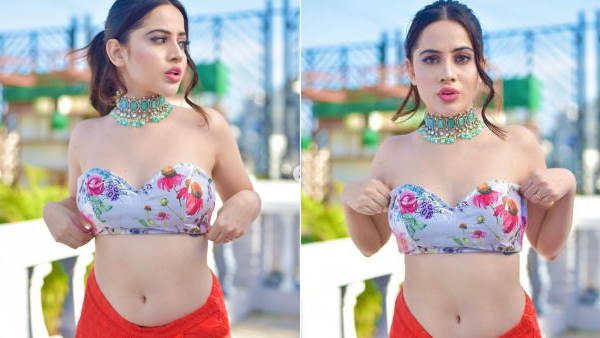 ट्यूब टॉप की तस्वीर से बढ़ाया पारा