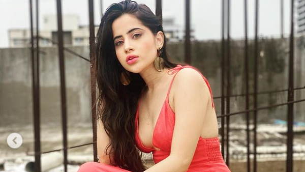 कई टीवी शो में नजर आ चुकीं उर्फी कई टीवी शो में नजर आ चुकीं उर्फी