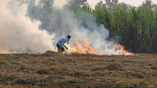 पराली जलाने से प्रदूषण