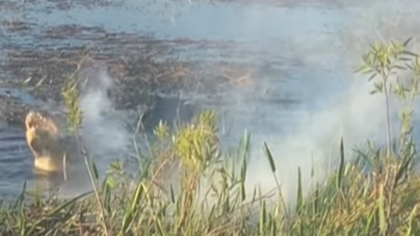 घटना अमेरिका के फ्लोरिडा में हुई घटना अमेरिका के फ्लोरिडा में हुई