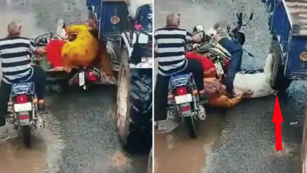 बाइक के गिरते ही शख्स ट्रॉली के नीचे आ गया