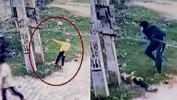 चूरू झुंझुनूं सीमा पर नूहंद गांव की घटना 