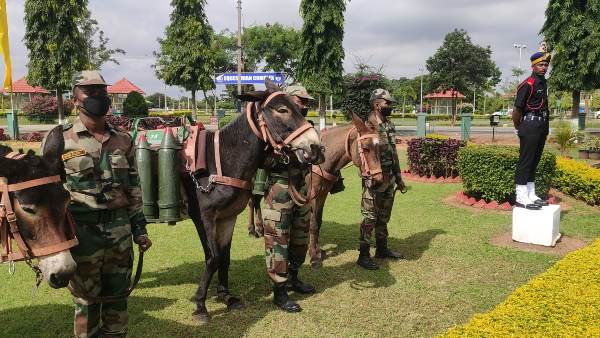 Animal Transport Remembrance Day 2021