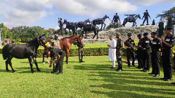 Animal Transport Remembrance Day 2021
