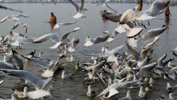 बाद में पता चली सच्चाई