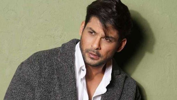 बालिका वधू में किया काम