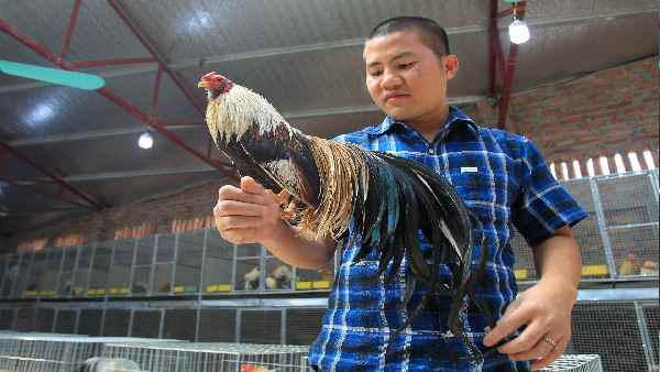 चीन में 25 फीसदी किशोर डिप्रेशन के शिकार-रिपोर्ट