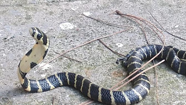 10 मिनट तक चली फाइट 10 मिनट तक चली फाइट