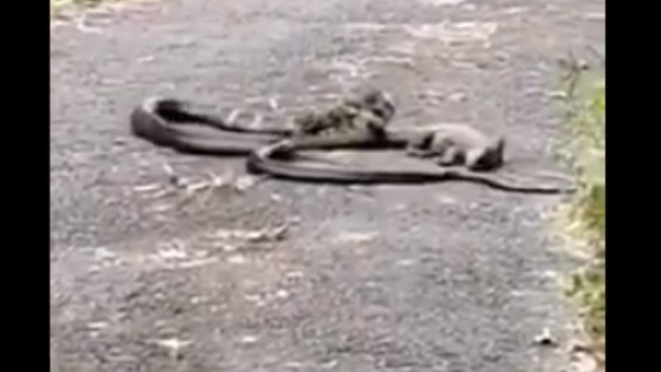 क्या हुआ लड़ाई का अंजाम? क्या हुआ लड़ाई का अंजाम?