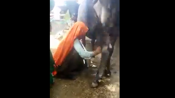 करौली का है वीडियो? करौली का है वीडियो?