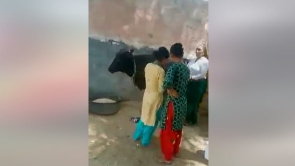 फिर किसी के काम नहीं आया दूध फिर किसी के काम नहीं आया दूध