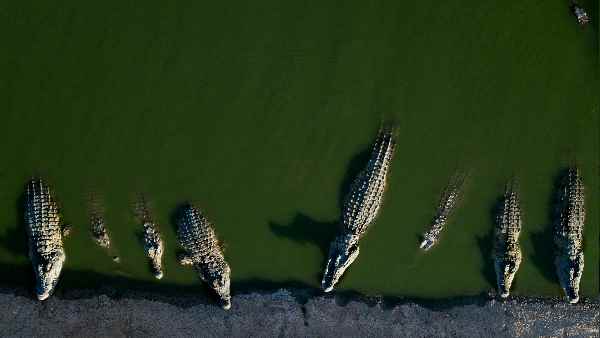 किसी ट्रेन के पहिए की चपेट में आने की आशंका किसी ट्रेन के पहिए की चपेट में आने की आशंका