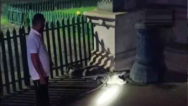 ट्रेन से उसके सिर में चोट लग गई थी