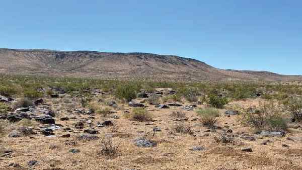 5 एकड़ के निर्जन प्लॉट पर हुआ है निर्माण