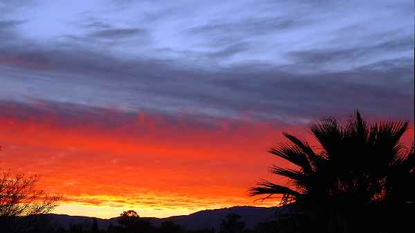 पूरी तरह से कंक्रीट ढांचे पर तैयार हुआ है घर