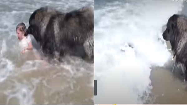 समुद्र की तेज लहर में डूबने लगती है बच्‍ची 