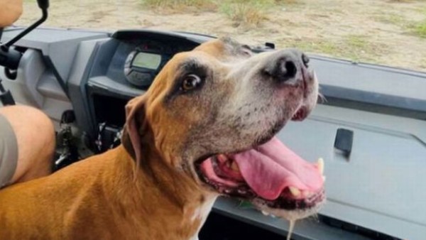 शुरू में नहीं हुआ विश्वास