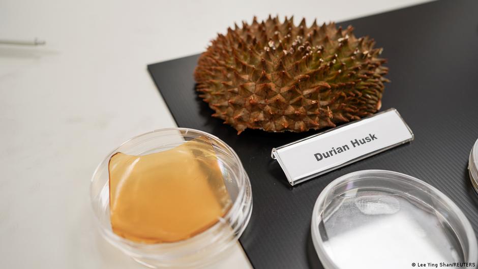 ड्यूरियन फल के छिलके से पट्टियां बनाना किफायती है