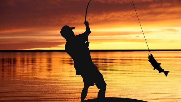 शार्क की तस्वीर देख यूजर्स हैरान शार्क की तस्वीर देख यूजर्स हैरान