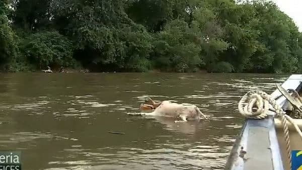 पहले भी हुई ये घटना