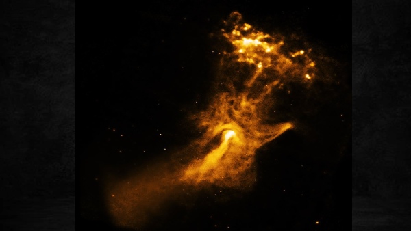 तस्वीर पोस्ट कर दी पूरी जानकारी