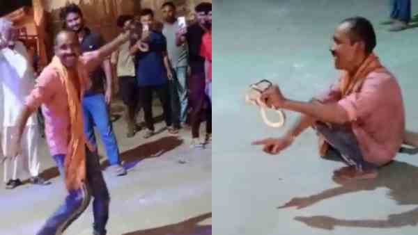 सोशल मीडिया पर वायरल हुआ वीडियो