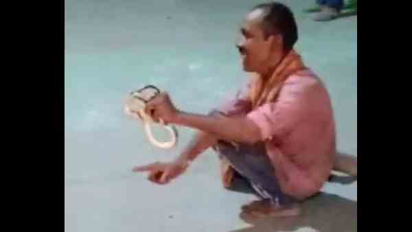 डसने का नहीं चला पता