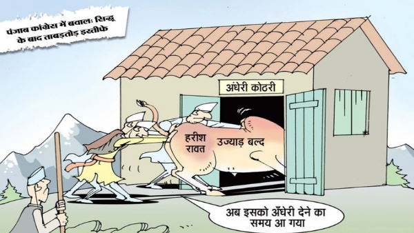 भाजपा का हमला, उज्याड़ बल्द पर​ किया कटाक्ष