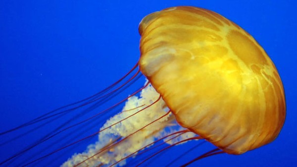 डर नहीं लगा?