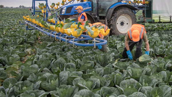 30 पाउंड प्रति घंटे के हिसाब से तनख्वाह 30 पाउंड प्रति घंटे के हिसाब से तनख्वाह