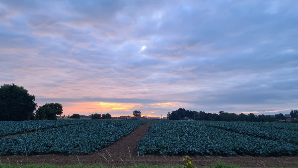 क्या है इतना बड़ा पैकेज देने की वजह क्या है इतना बड़ा पैकेज देने की वजह