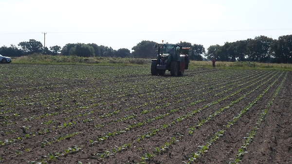 कंपनी ने अपने विज्ञापन में क्या कहा कंपनी ने अपने विज्ञापन में क्या कहा